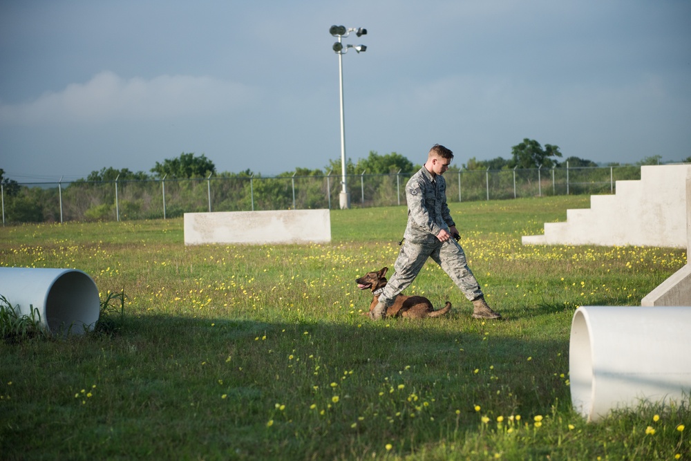 Peace Officers Memorial Day K9 Competition