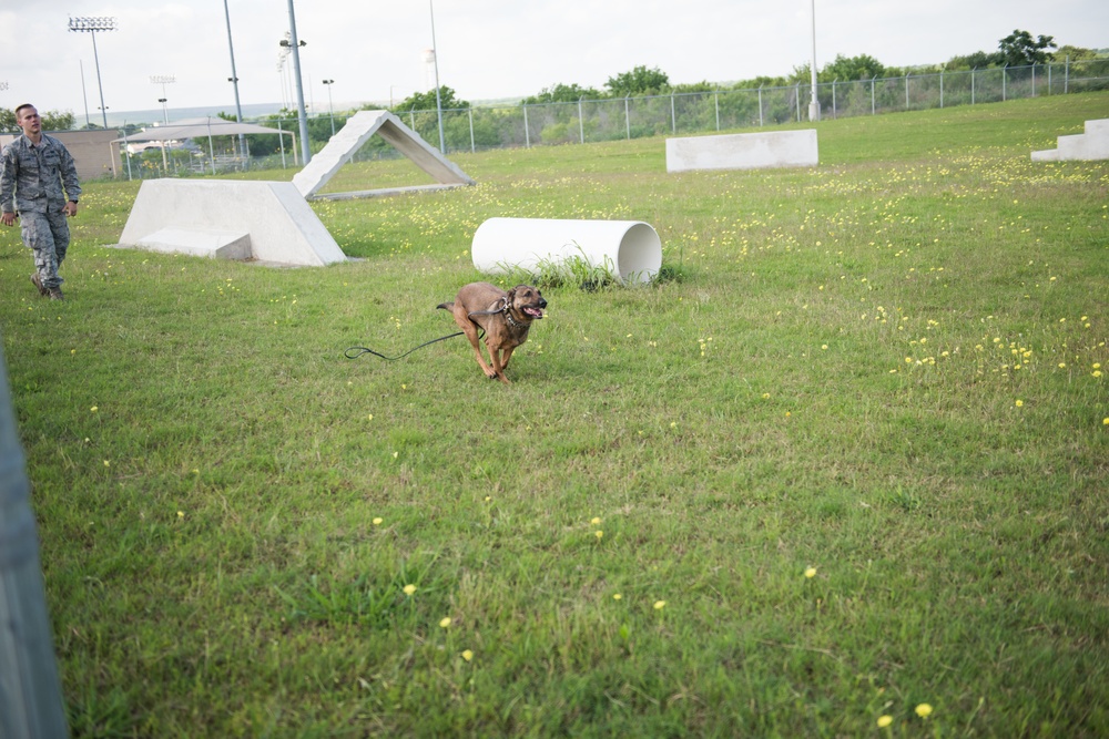 Peace Officers Memorial Day K9 Competition