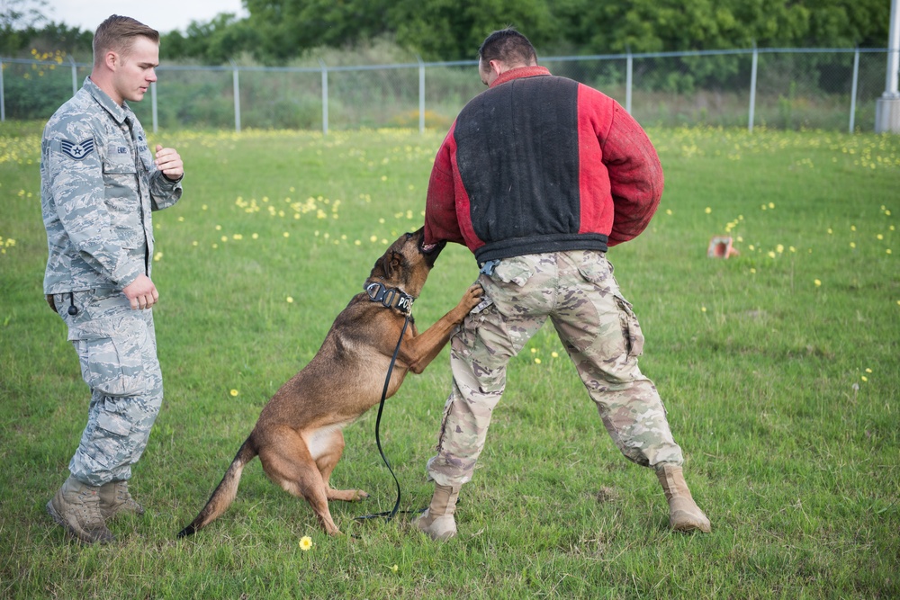 Peace Officers Memorial Day K9 Competition