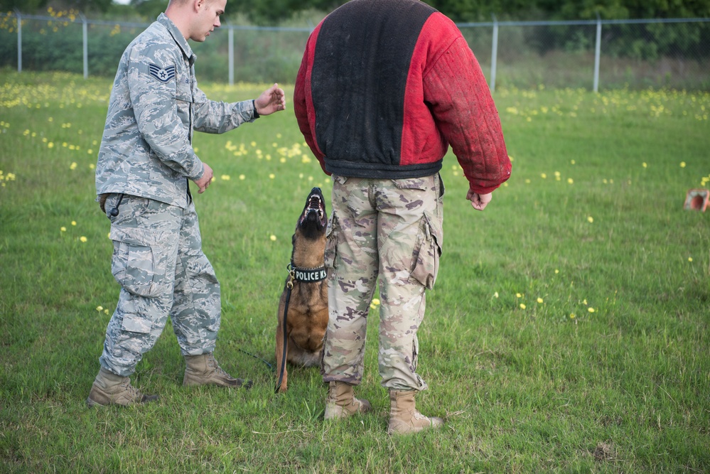 Peace Officers Memorial Day K9 Competition