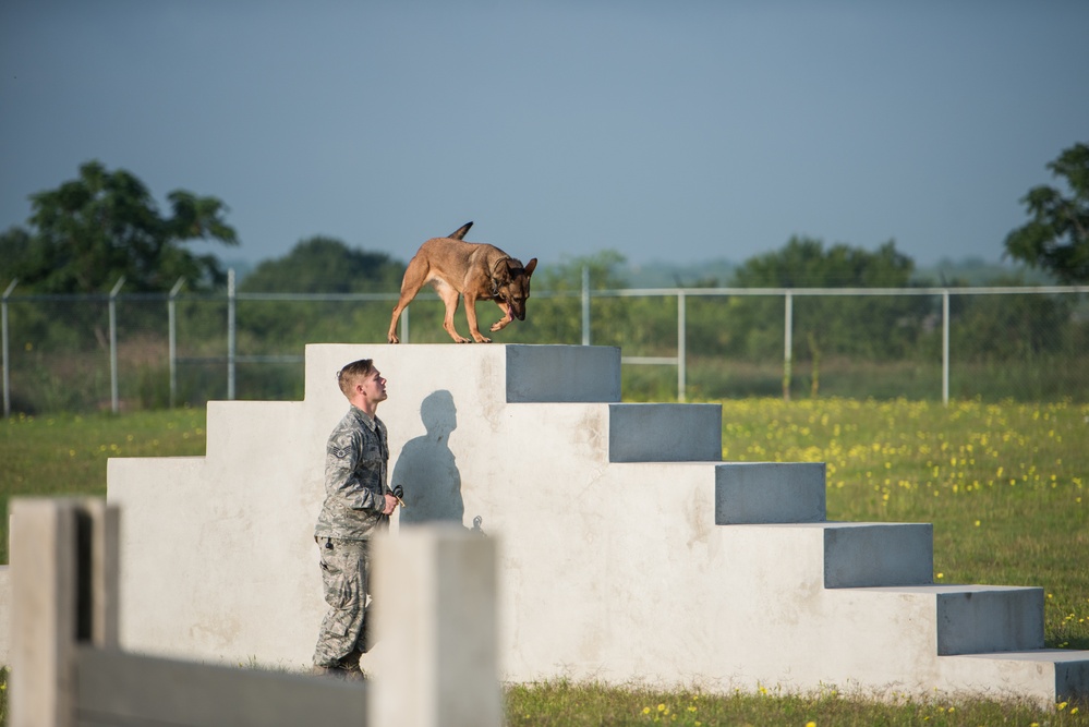 Peace Officers Memorial Day K9 Competition