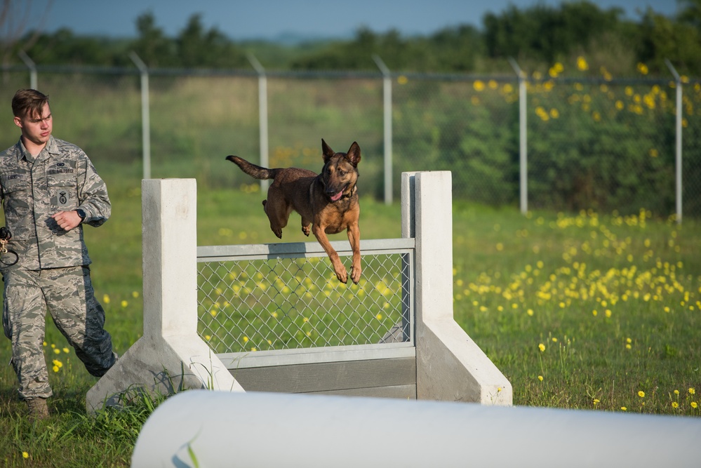 Peace Officers Memorial Day K9 Competition