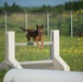 Peace Officers Memorial Day K9 Competition