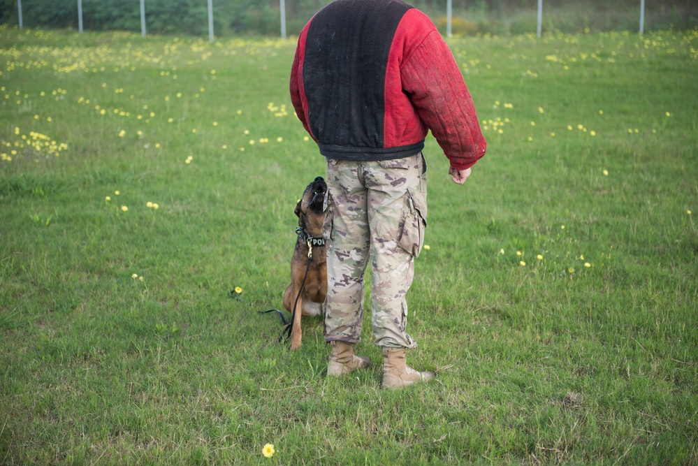 Peace Officers Memorial Day K9 Competition