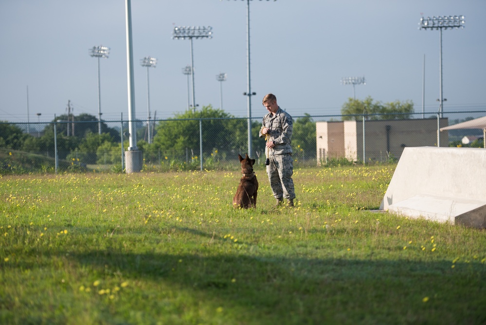 Peace Officers Memorial Day K9 Competition