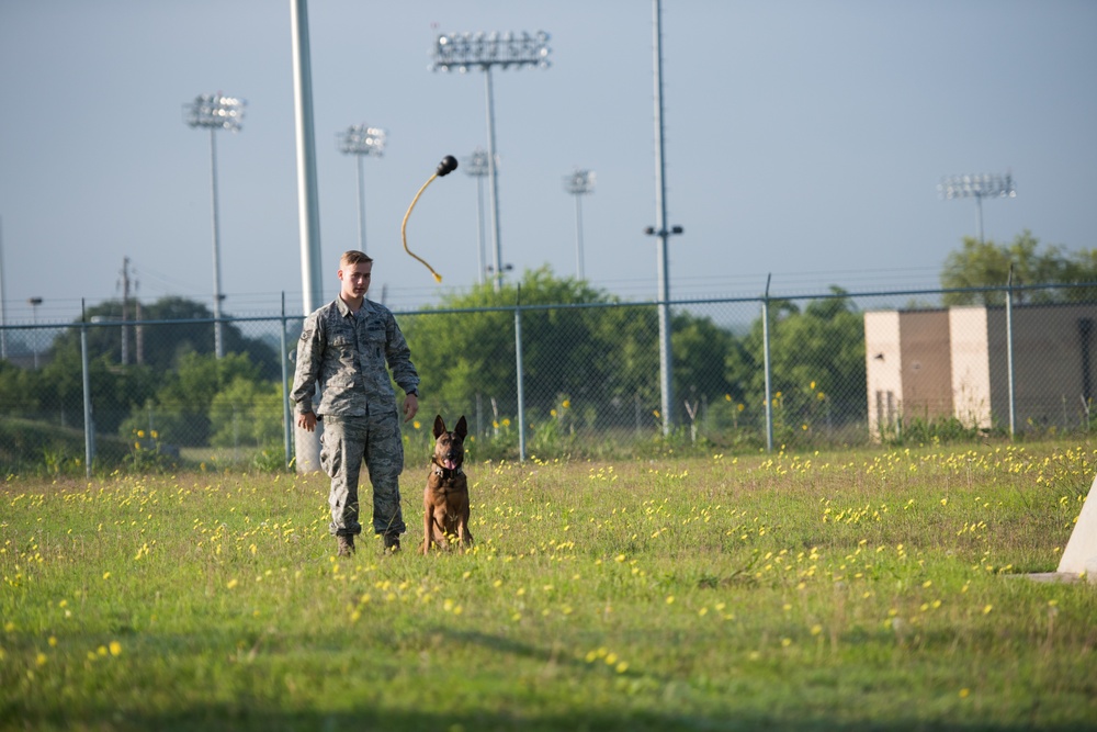 Peace Officers Memorial Day K9 Competition