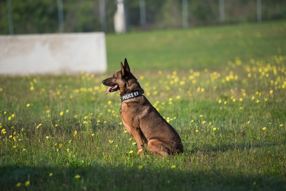 Peace Officers Memorial Day K9 Competition