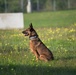 Peace Officers Memorial Day K9 Competition