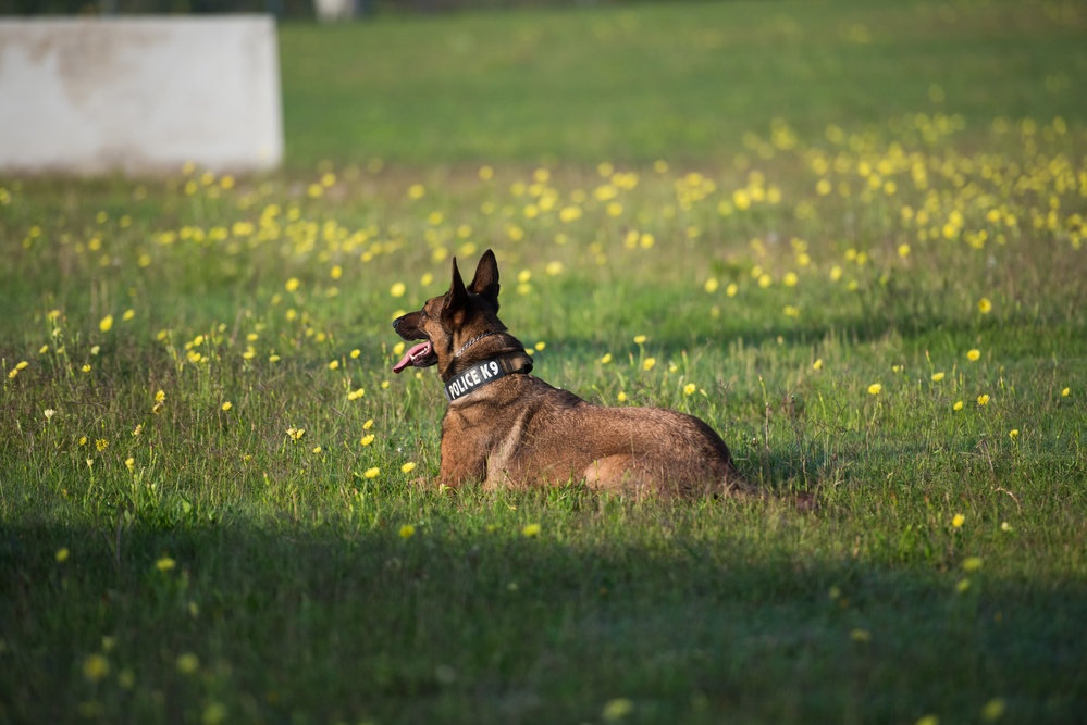 Peace Officers Memorial Day K9 Competition