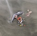 NOAA performs partial necropsy of gray whale near Cordova, Alaska