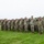 A large formation of military personnel in OCP (Operational Camouflage Pattern) uniforms are rendering a salute during what appears to be a formal military ceremony on a grass field. The soldiers are arranged in multiple rows facing the same direction, suggesting a parade, review, or official ceremony such as a change of command or memorial service. The setting appears to be a military installation with trees and structures visible in the background.