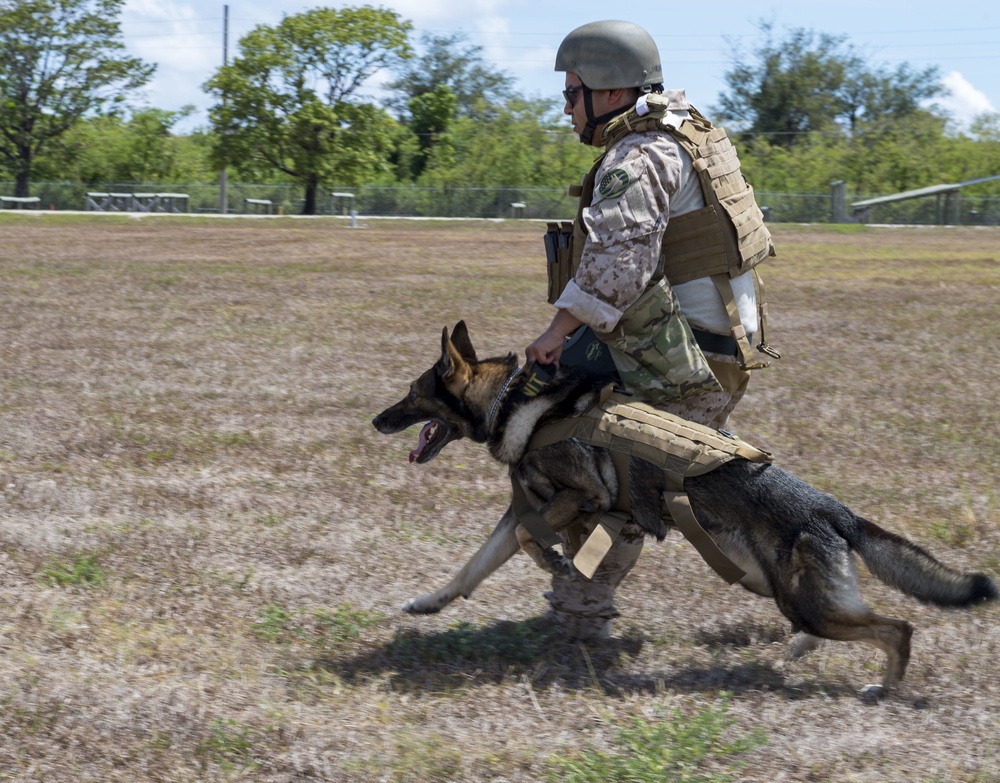 EODMU-5 Sailors conduct tactical maneuvering training
