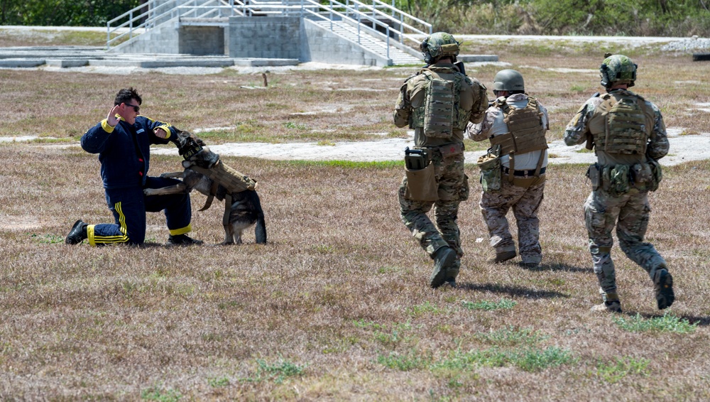 EODMU-5 Sailors conduct tactical maneuvering training