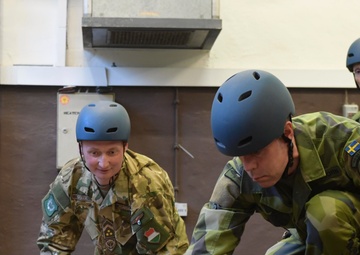 Command Senior Enlisted Leaders Attend European Air Forces Conference