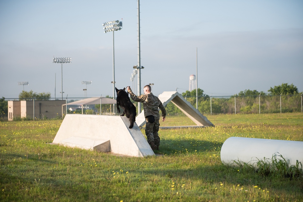 Peace Officers Memorial Day K9 Competition