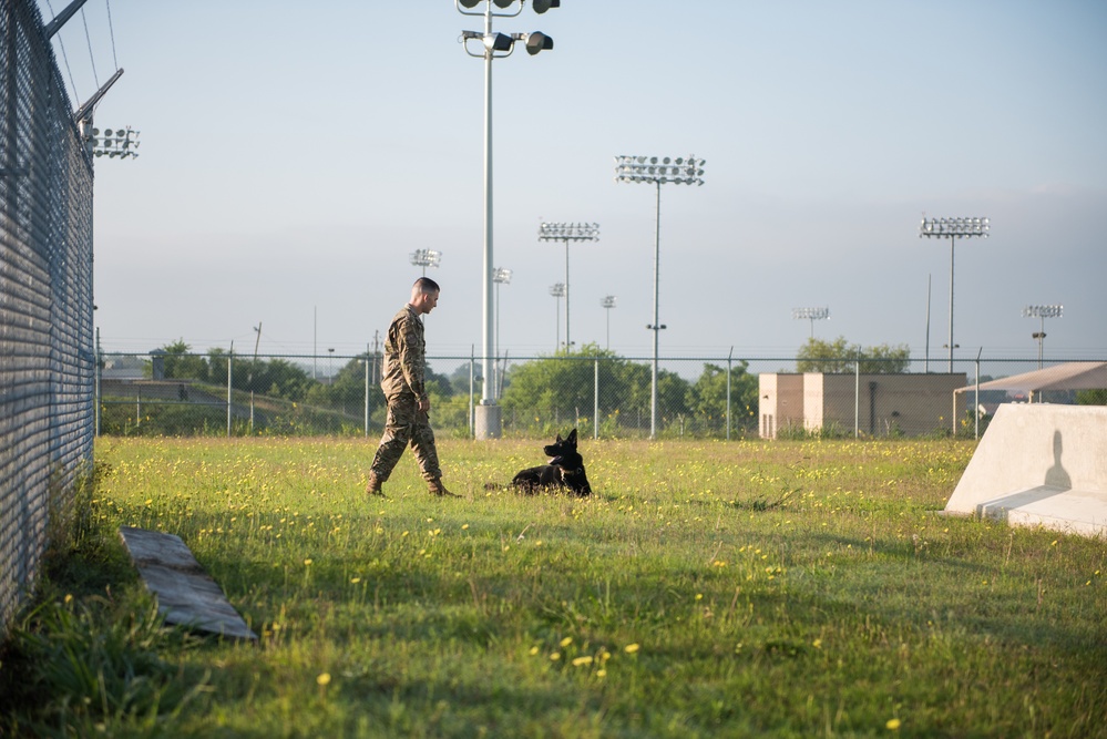 Peace Officers Memorial Day K9 Competition