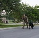 Peace Officers Memorial Day K9 Competition