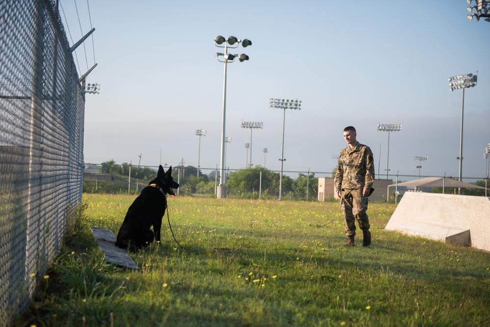 Peace Officers Memorial Day K9 Competition