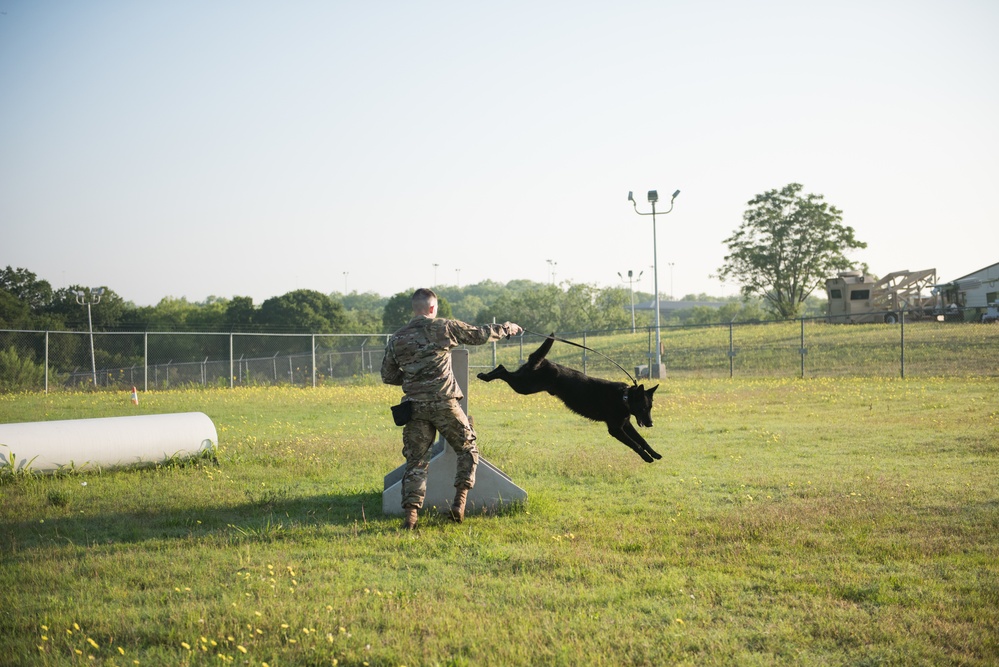 Peace Officers Memorial Day K9 Competition