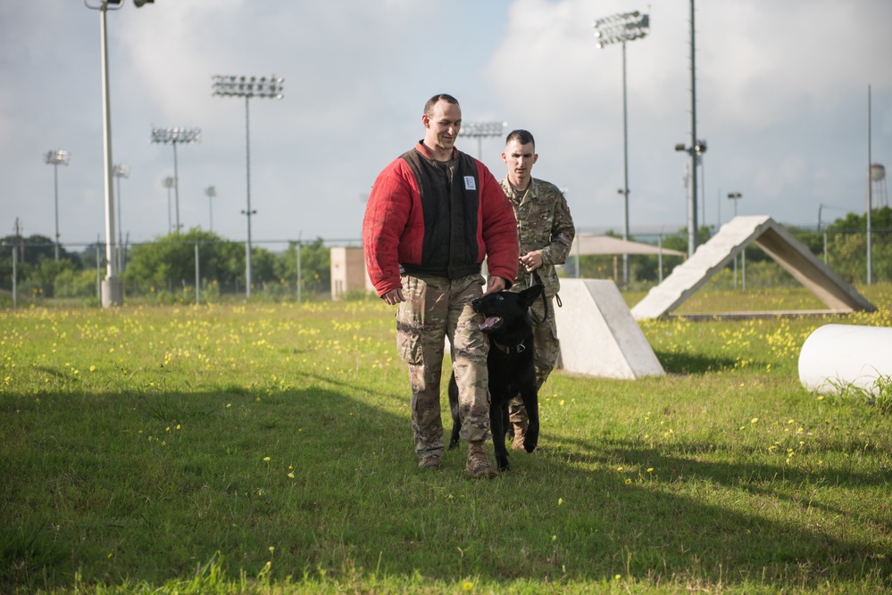 Peace Officers Memorial Day K9 Competition