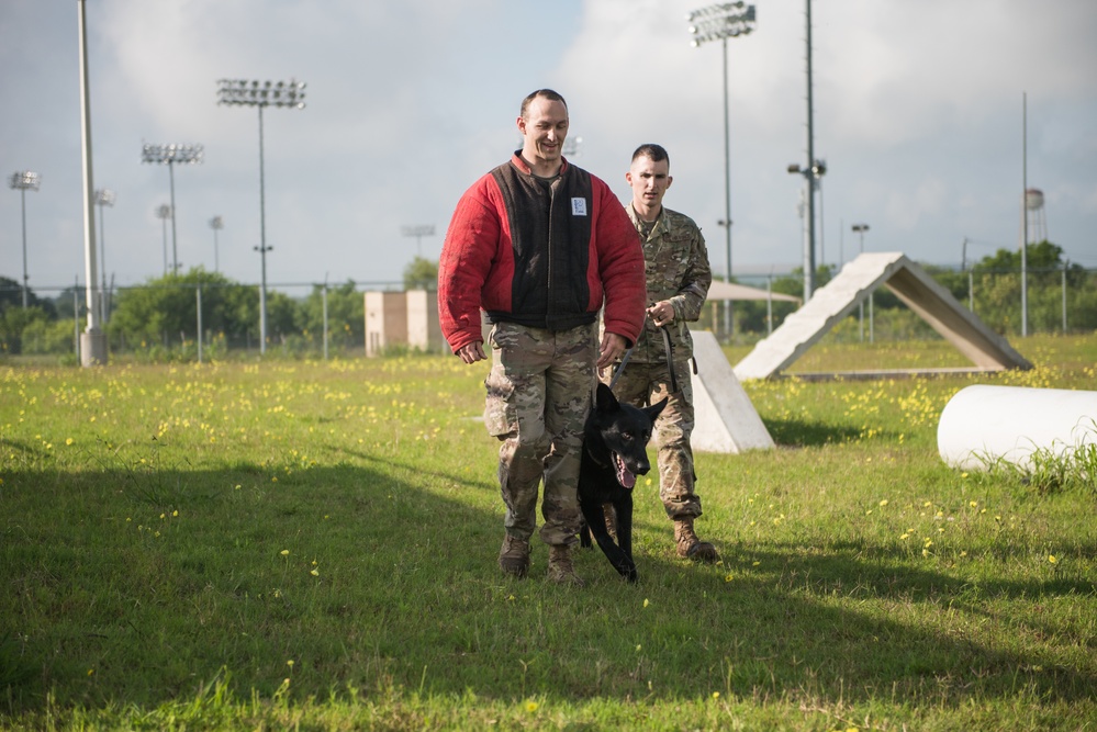 Peace Officers Memorial Day K9 Competition