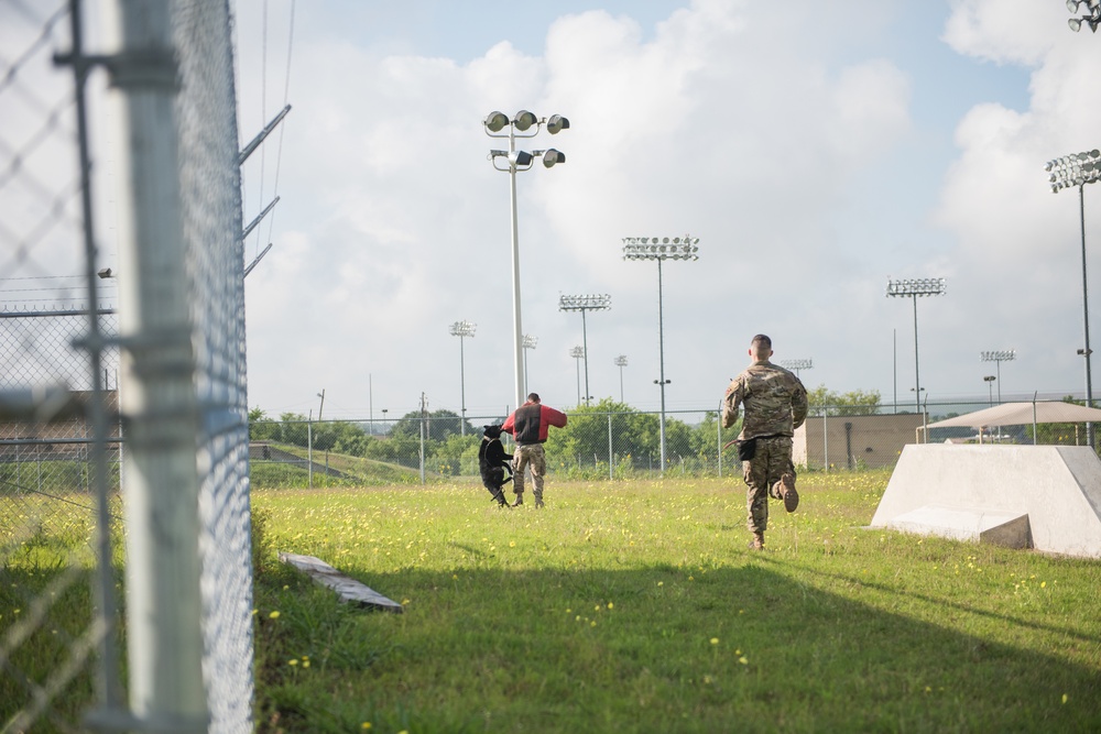 Peace Officers Memorial Day K9 Competition