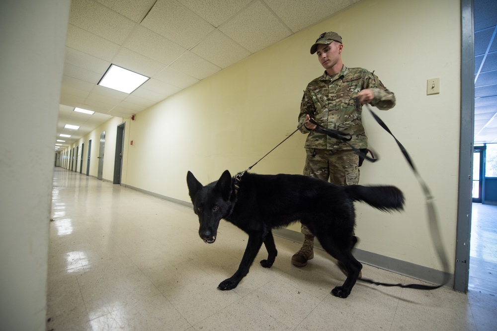 Peace Officers Memorial Day K9 Competition