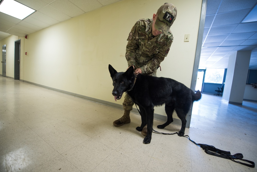 Peace Officers Memorial Day K9 Competition