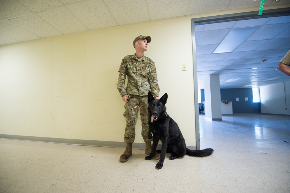 Peace Officers Memorial Day K9 Competition