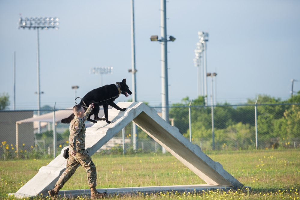 Peace Officers Memorial Day K9 Competition