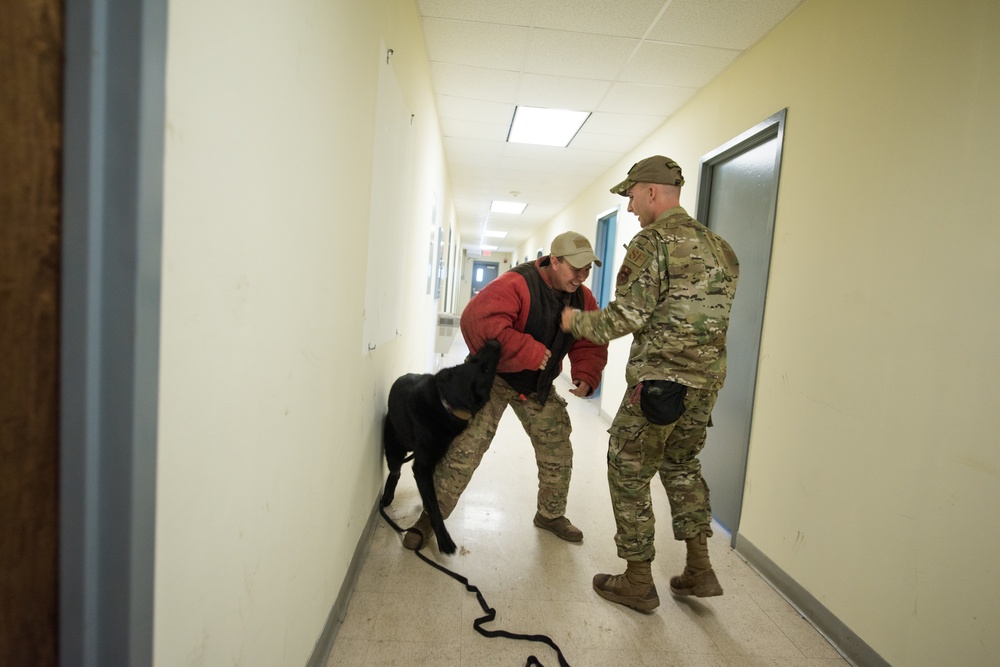 Peace Officers Memorial Day K9 Competition