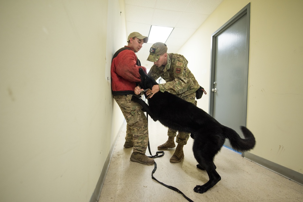 Peace Officers Memorial Day K9 Competition