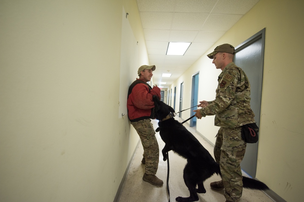 Peace Officers Memorial Day K9 Competition