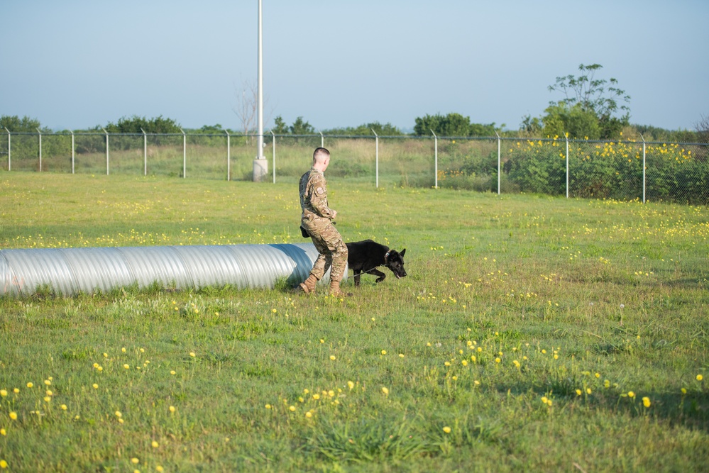 Peace Officers Memorial Day K9 Competition