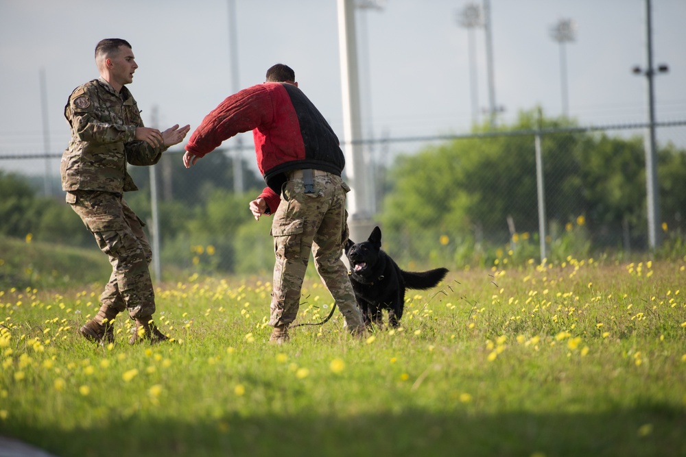 Peace Officers Memorial Day K9 Competition