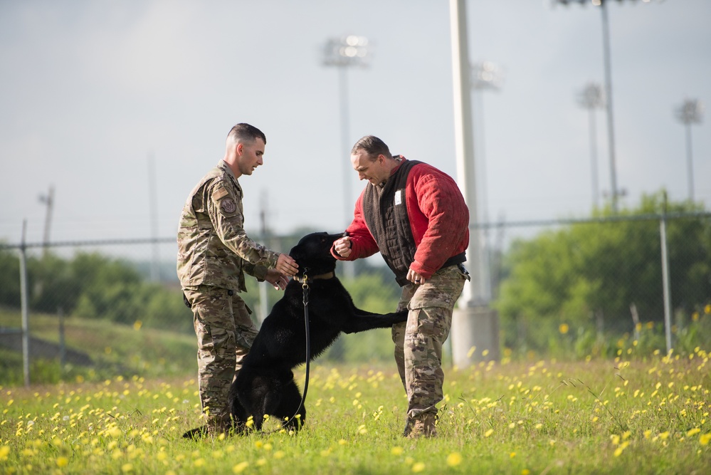 Peace Officers Memorial Day K9 Competition