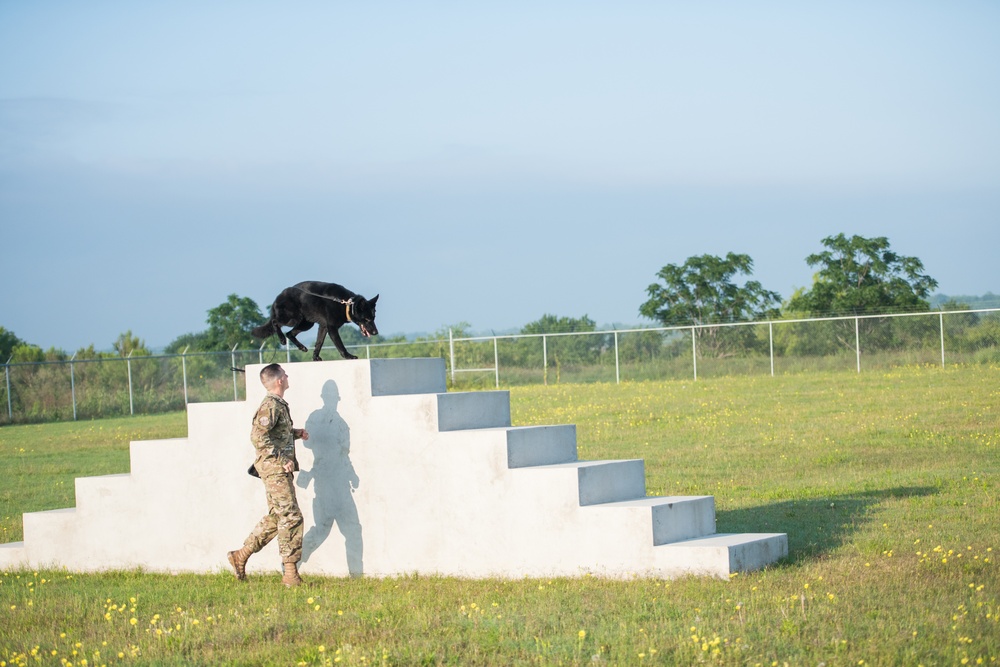 Peace Officers Memorial Day K9 Competition