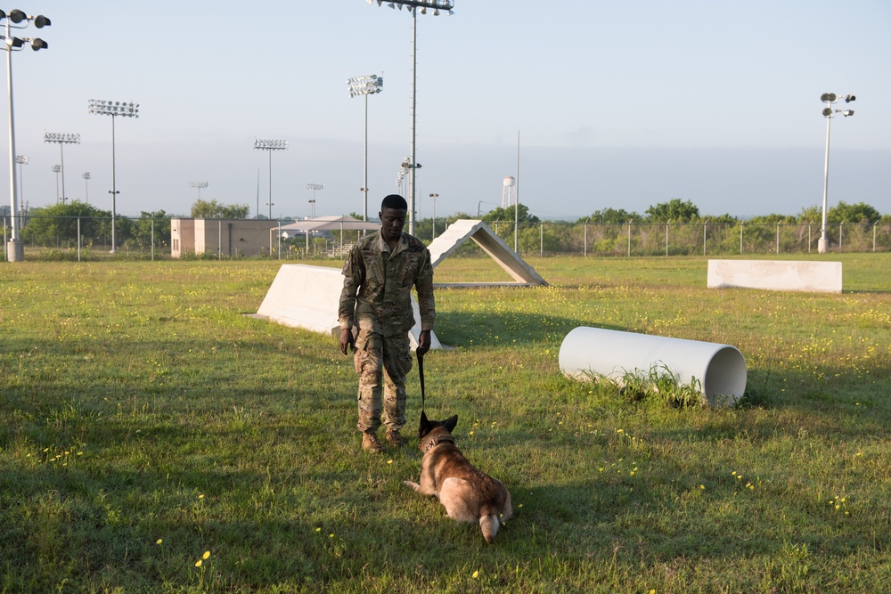 Peace Officers Memorial Day K9 Competition