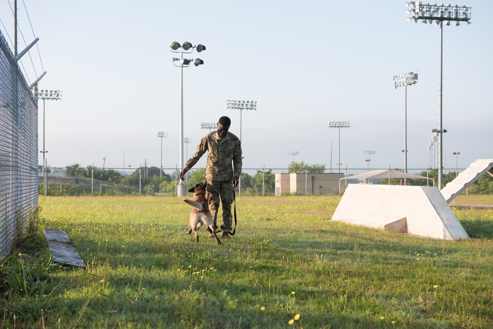 Peace Officers Memorial Day K9 Competition