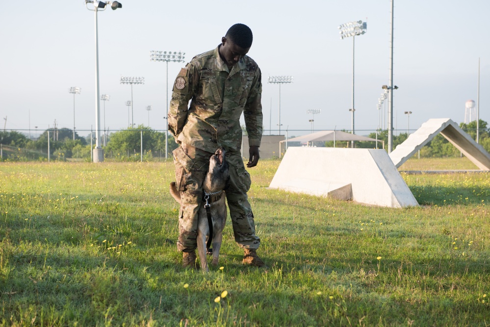 Peace Officers Memorial Day K9 Competition