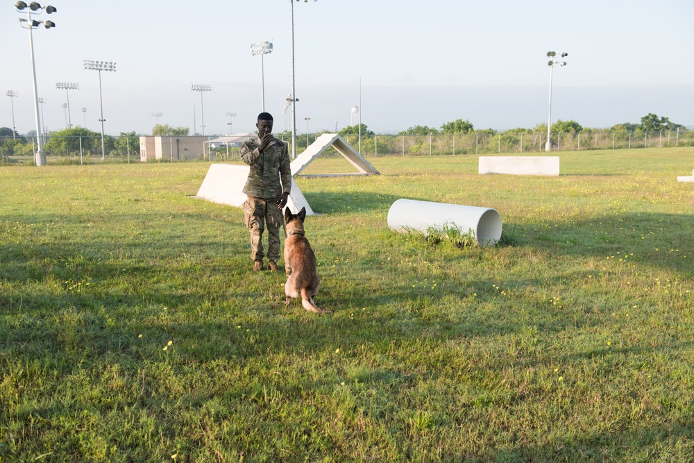 Peace Officers Memorial Day K9 Competition