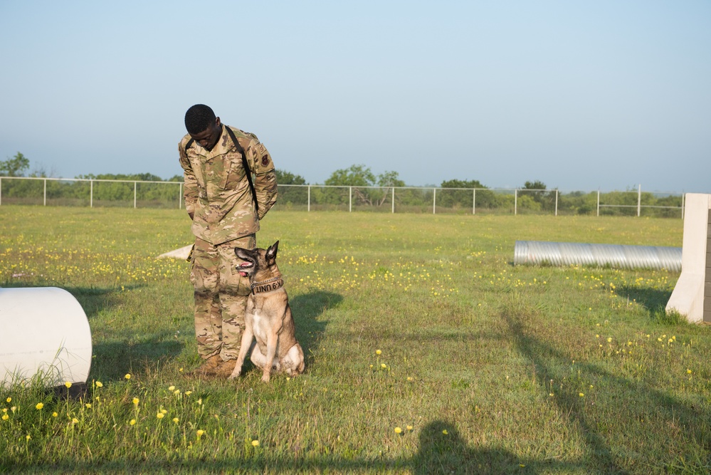 Peace Officers Memorial Day K9 Competition