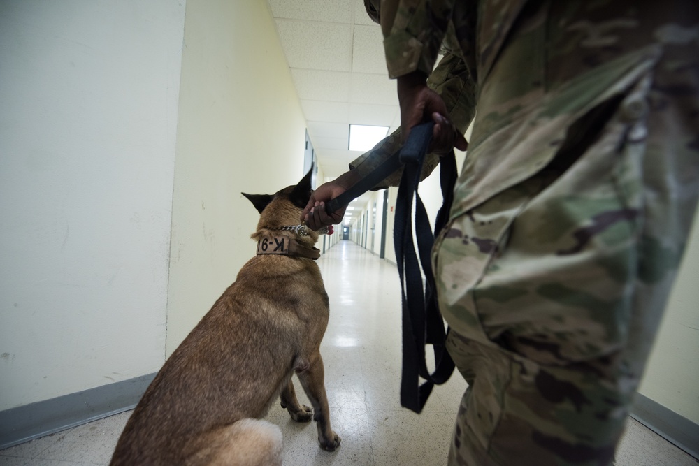 Peace Officers Memorial Day K9 Competition