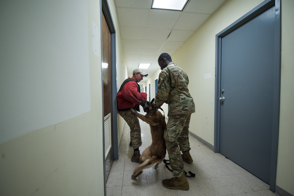 Peace Officers Memorial Day K9 Competition