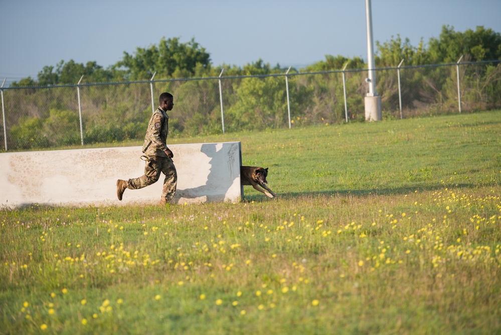 Peace Officers Memorial Day K9 Competition