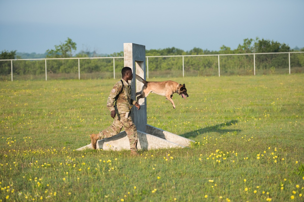 Peace Officers Memorial Day K9 Competition