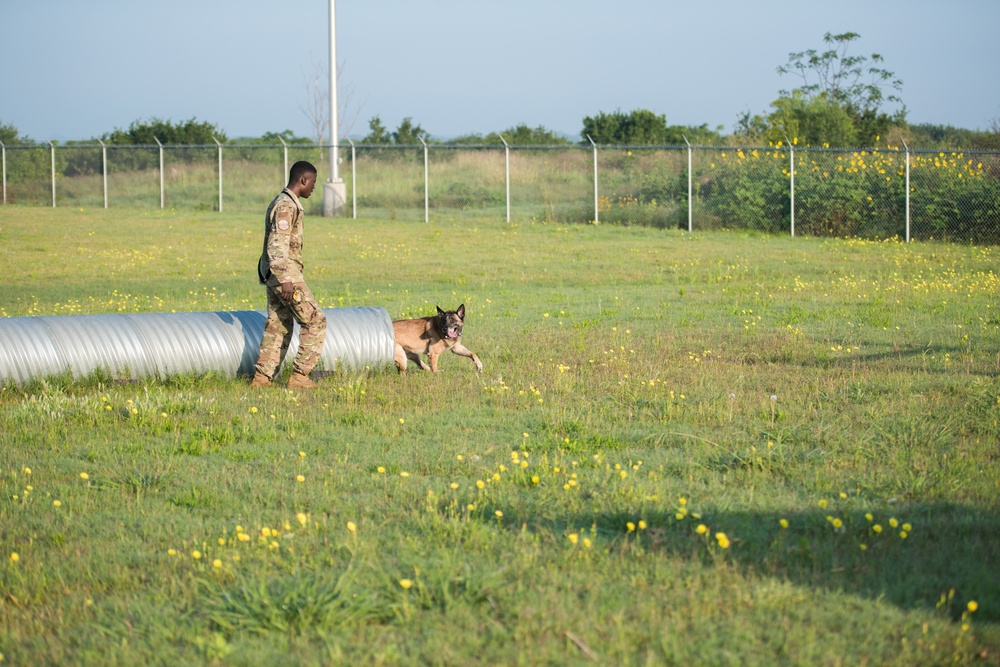 Peace Officers Memorial Day K9 Competition