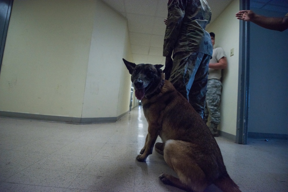 Peace Officers Memorial Day K9 Competition