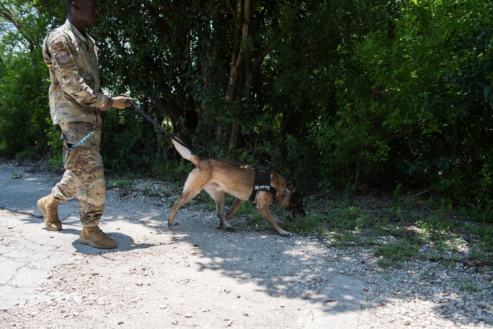 Peace Officers Memorial Day K9 Competition