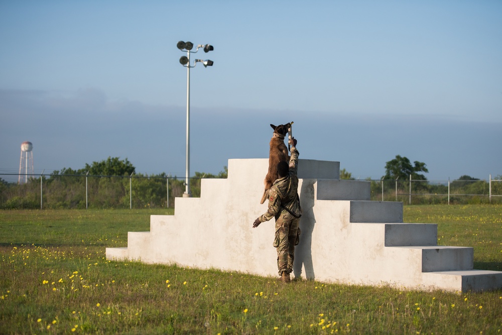 Peace Officers Memorial Day K9 Competition